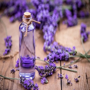 Lavender extract